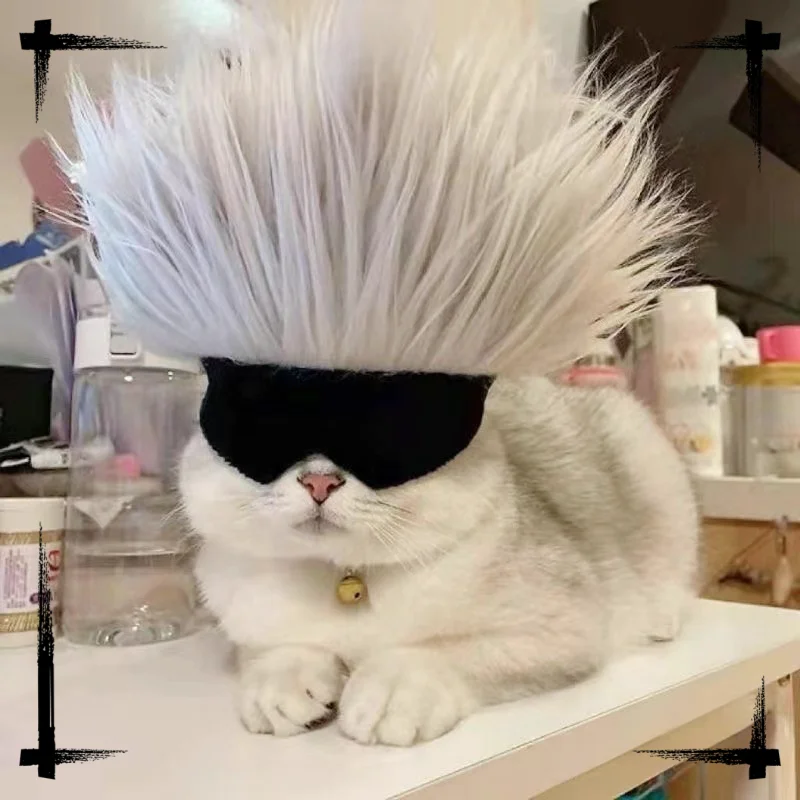 猫耳フードアイマスク：ハロウィン犬服としての実用性とデザイン特性