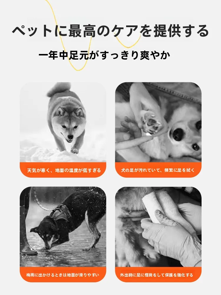 犬のお散歩グッズをコスパ良く揃える方法　通気性とサイズの選び方を徹底解説