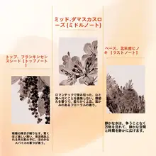植物エキス配合のメイク落としオイル【ノン刺激・深層洗浄・しっとり仕上げ】