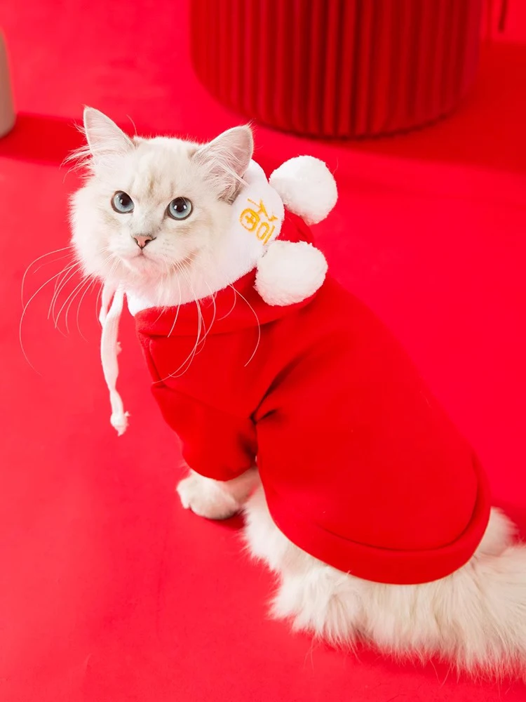 冬用フード付きヒョウ柄猫服：一人暮らし向けの保温・防毛機能を徹底解説