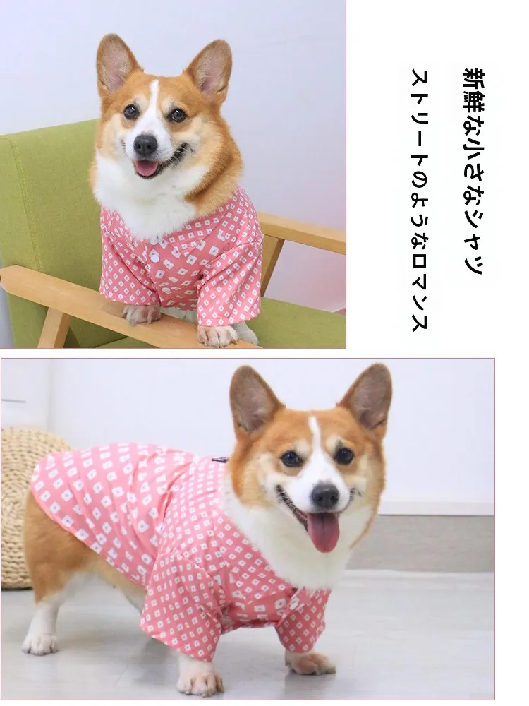 かるキャンで犬と一緒に過ごす「心の癒し」は、どんなアイテムが鍵を握っているの？