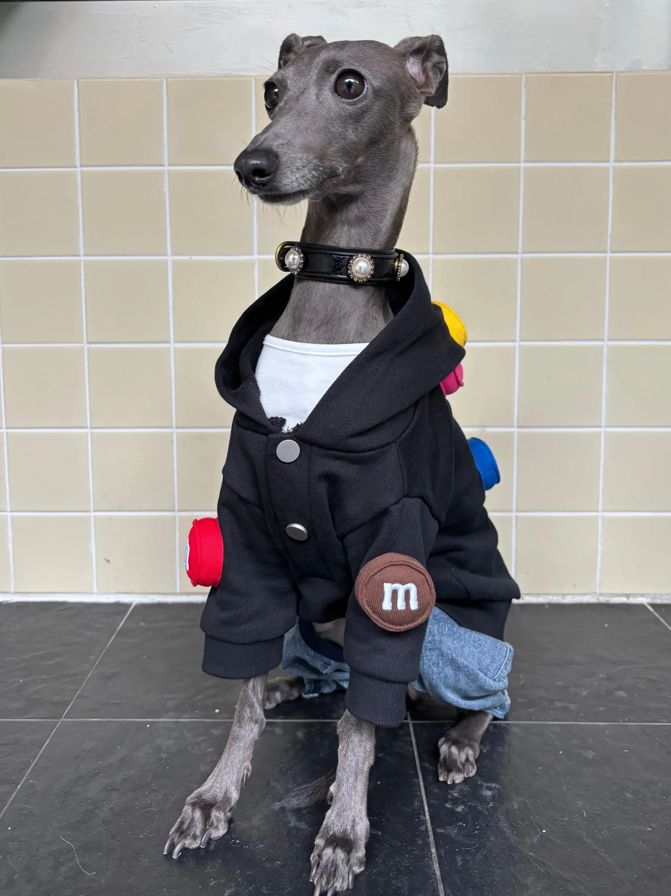 立体デザインの極上の柔らかさペットウェア：小型犬・猫用の手作りスタイルを実現するための選定ガイド