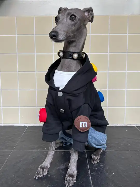 立体デザインの極上の柔らかさペットウェア【小型犬・猫用・可愛いスタイル】