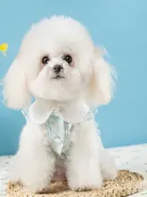 犬用プリンセススタイルワンピース【夏用・薄手・テディベア・ヨークシャー・小型犬用】