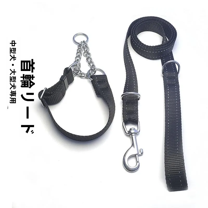 犬のお散歩グッズをコスパ良く揃える方法　安全・耐久性の秘密を徹底解説
