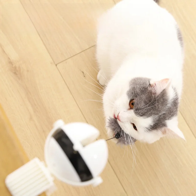 くすぐり機械を選ぶべきタイミングは？猫の反応を読むだけでわかる選び方