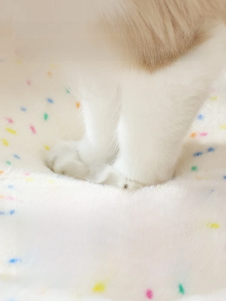 猫用冬季暖かいベッド YFK139：厚手で小型猫に最適な保温設計を実証