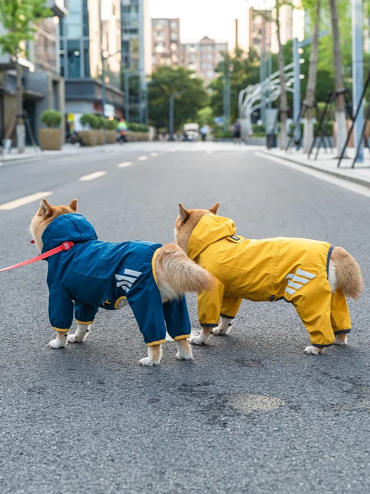 犬のお散歩グッズをコスパ良く揃える方法｜実測でわかるフィット性とデザインのバランス