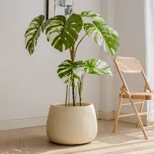 北欧風 グリーン植物用インテリアフラワーポット【モンステラ・バードオブパラダイス・シンプルデザイン】