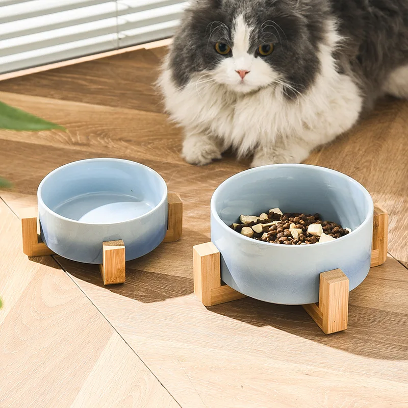 猫飼いが買ってよかったもの・悪かったもの正直に言う 陶製ペットボウルの特徴と実際の使用状況