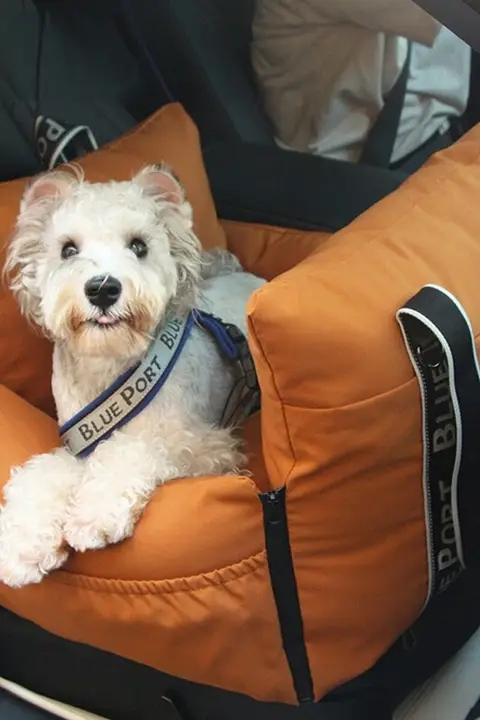 blueport 車載用犬用ベッド【多機能・洗濯可能・取り付け簡単】