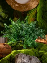 フェイクフラワー 草 生态的な壁面装飾 緑の植物 プラスチック素材 高級感あふれる