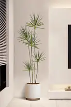 高級感あるフェイクグリーンプランツ 千年木【リビング装飾用・造花・龙血树・インドア用】