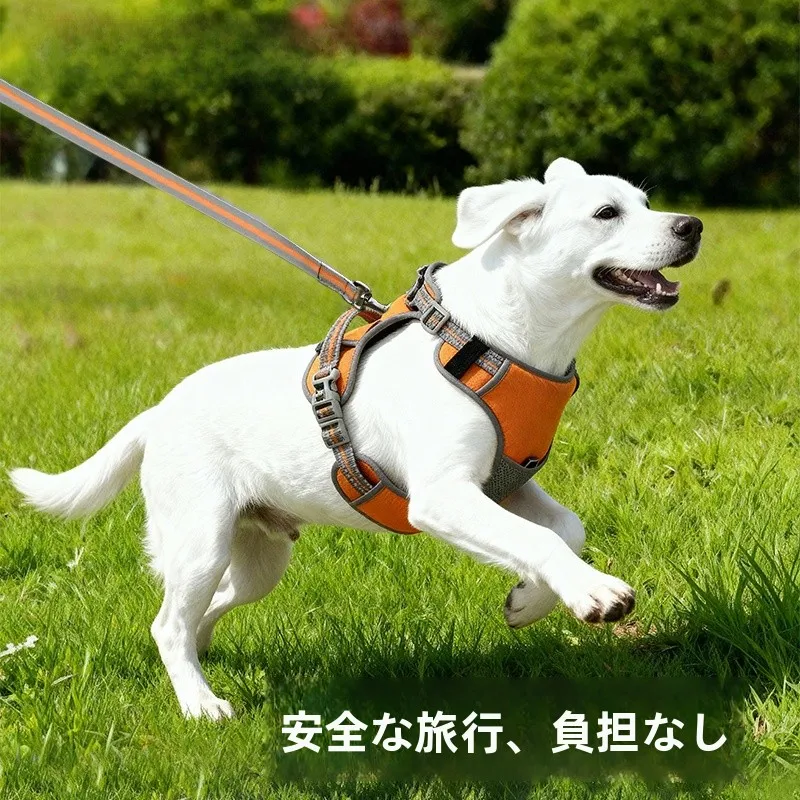 猫飼いが買ってよかったもの・悪かったもの正直に言う｜夏用レースフリルプリンセスドレスの実際の効果と選び方
