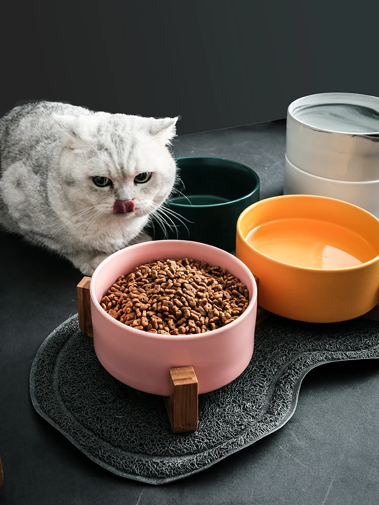猫飼いが買ってよかったもの・悪かったもの正直に言う｜食器選びの実測ガイド
