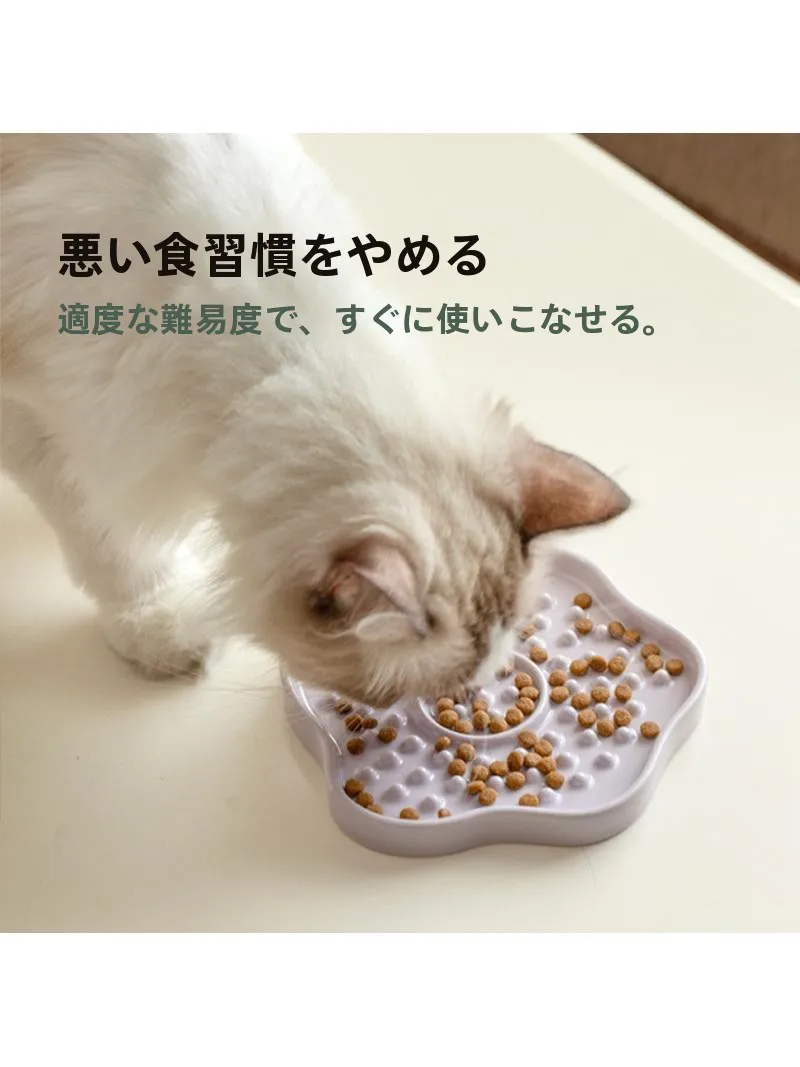 陶器製ペット用食器：お椀型で猫の舐め食いを安全に管理