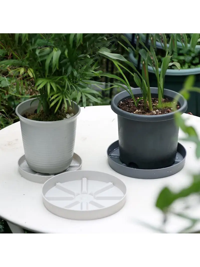 植物受け皿を選ぶときに迷うのは、本当に「受け皿」なのか？