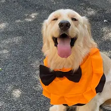 ハロウィンギフト 犬用バンダナ【丸型・中型・大型犬対応・おしゃれなデザイン】