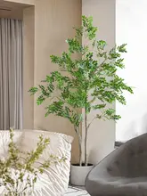 ホンカ イツリ 植物 装飾 景観 屋内用