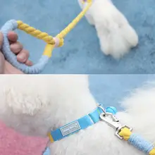 ハニーバunny ペット用カラフル首輪【犬用・テディベア・コーギー・柴犬・鈴付き】