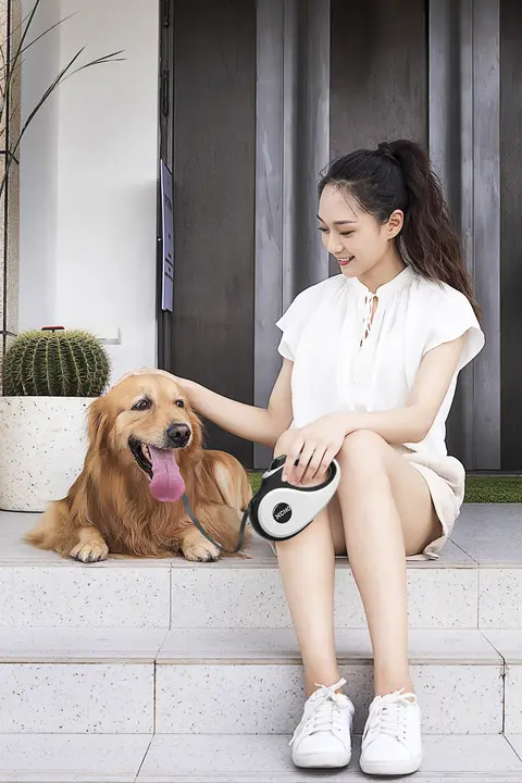 自動伸縮式犬用リード【大中小型犬対応・散歩用】