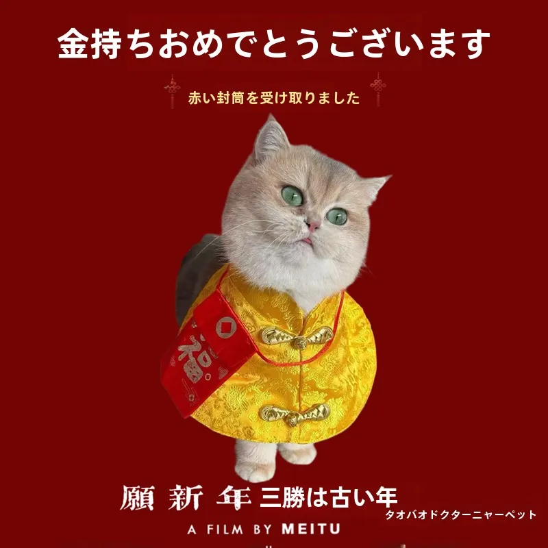 新年用ペット用衣装：中国風赤い封筒デザインのマントタイプが室内飼育に最適