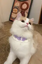 可愛い猫用手編みカラー【インスタ風・小型犬・猫・ウサギ対応】