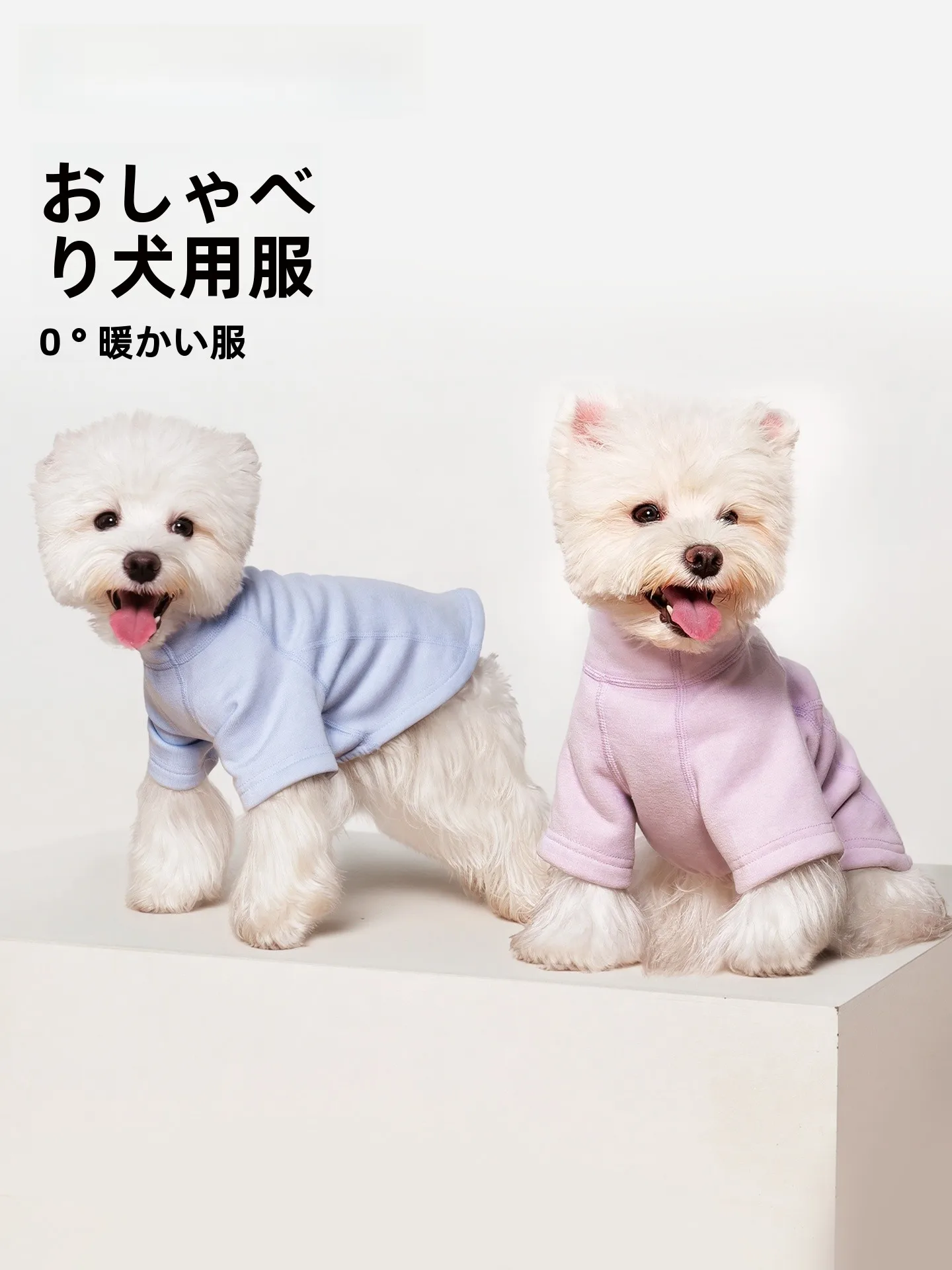 犬用保温ウェア：秋冬に最適な暖かいニットセットアップの 選び方