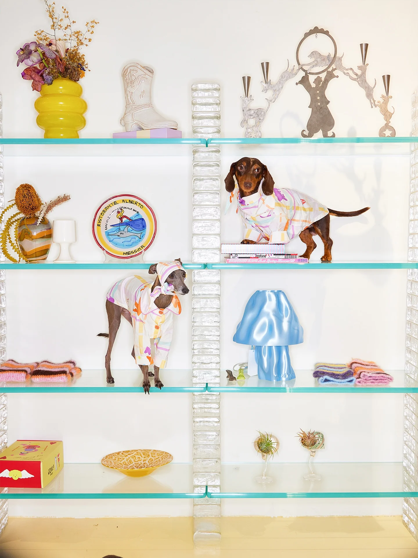 チワワ用犬服：オリジナルプリント小犬用パジ ャマの実用性とサイズ適合性