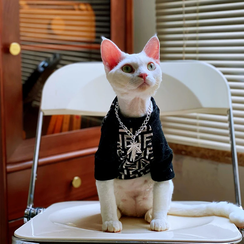 ペット用ネックレス：犬猫用の豪華デザインとかわいいカラーが特徴