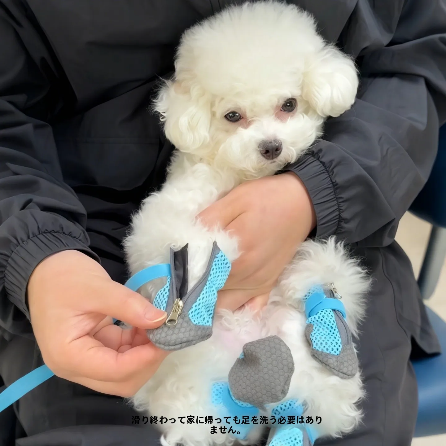 犬の散歩中に足を通さないで暑さを守るには？夏の防熱靴選びの本質とは