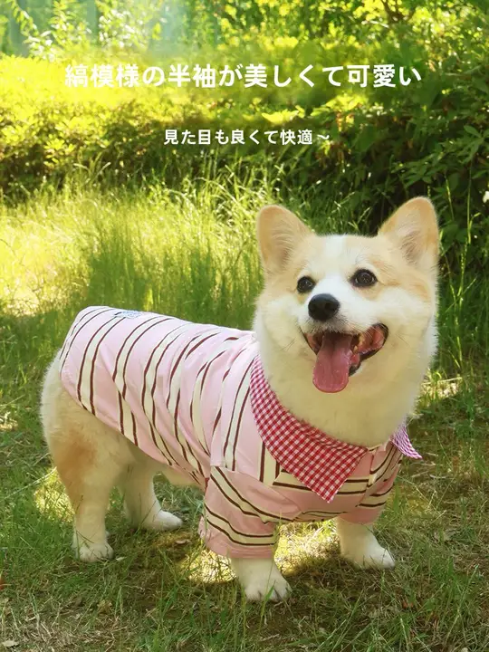 春夏用 犬用ウェア【毛防止・UVカット・防汚・柴犬・コーギー用・短袖Tシャツ】