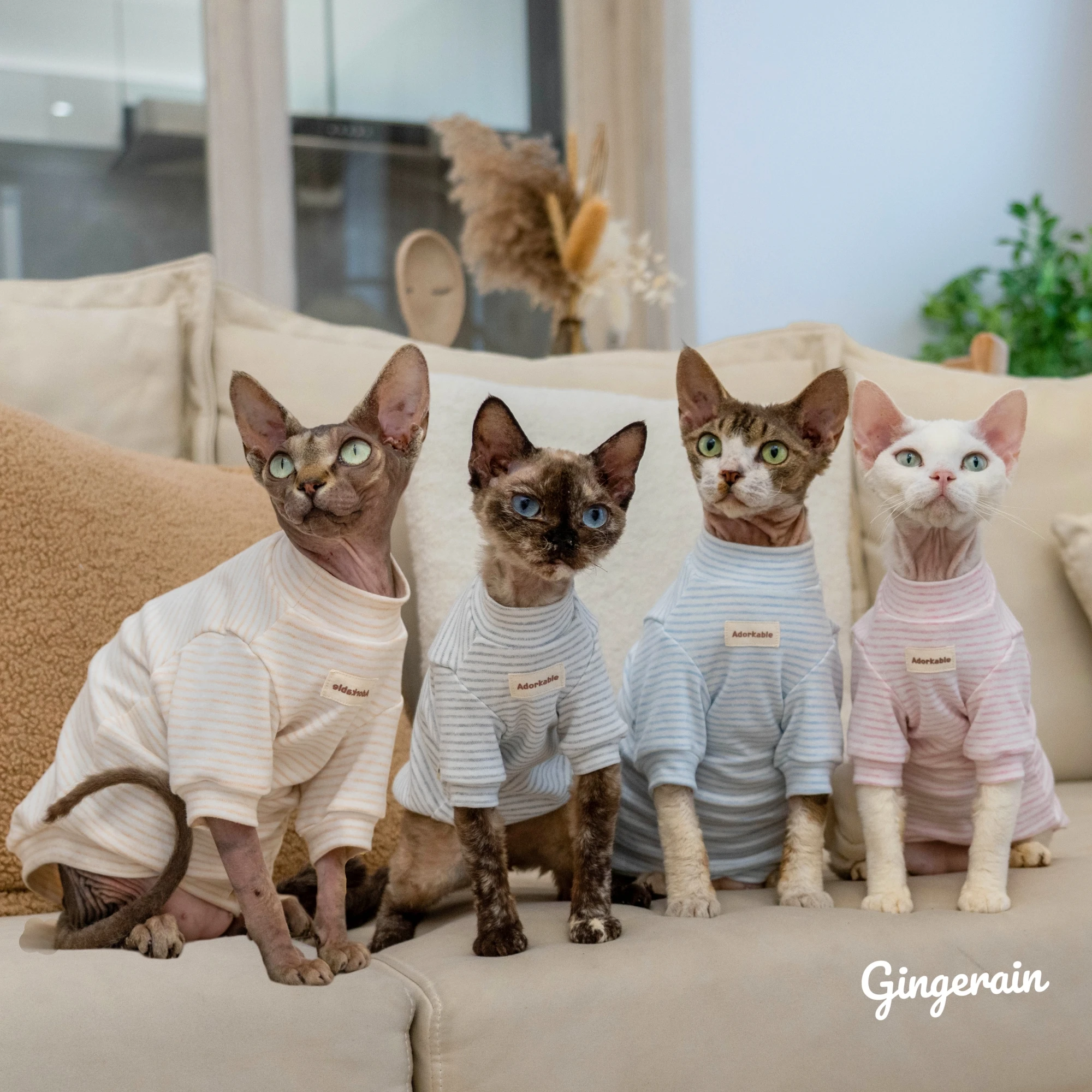 GINGERAIN オーガニックコットン ベビーロンパース：無毛猫向けの長袖カラフルタイプの機能性と使い勝手