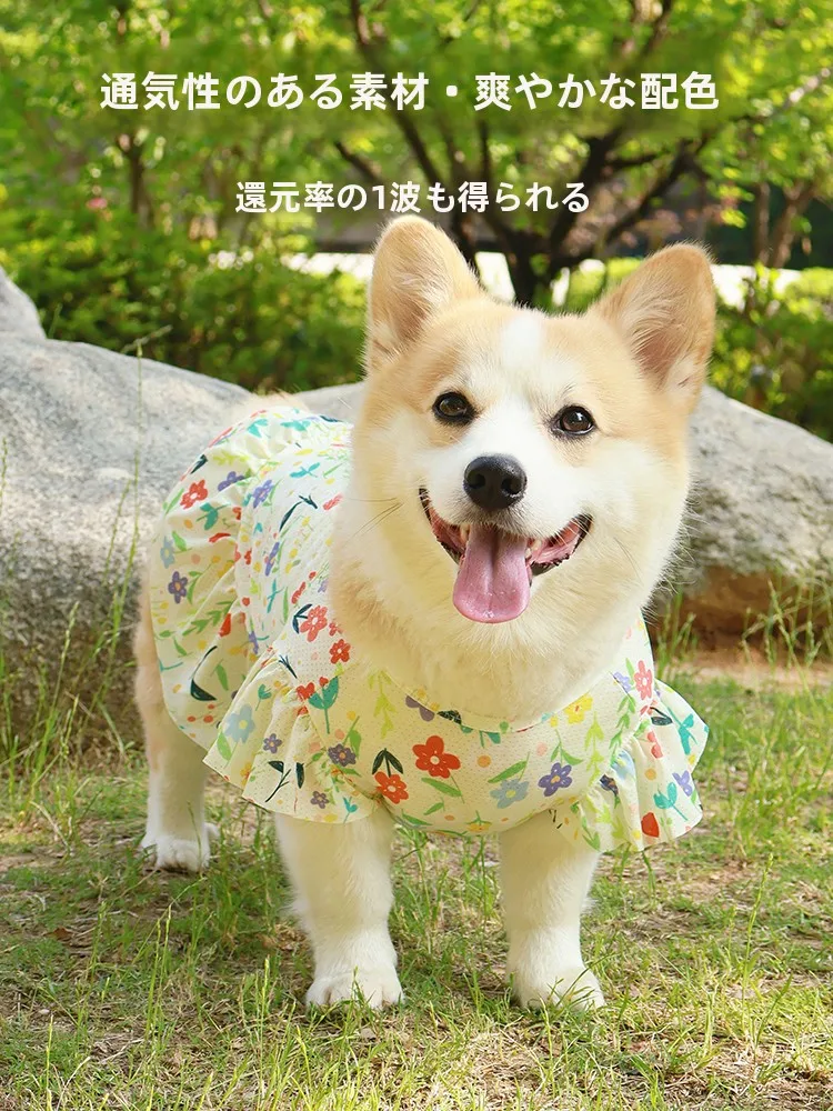 犬の服 おすすめ5選：季節や体型に合わせた使い勝手の良いアイテムを徹底比較