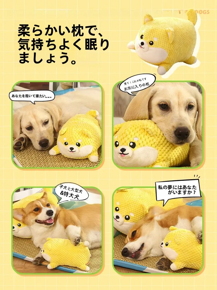 犬の歯磨きに悩むなら、この音が 出るおもちゃが救いになる？