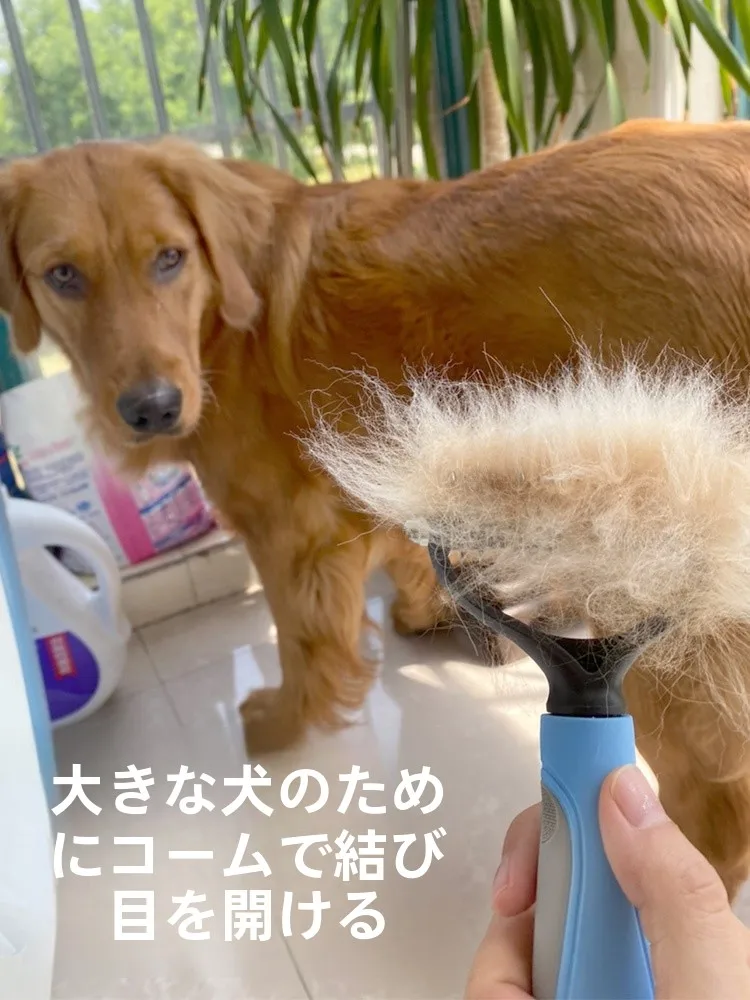 ペット用コーム：猫や小型犬向けの毛玉取りブラシの実用性と選定基準