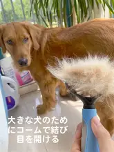 ペット用コーム【犬・猫用・毛玉取りブラシ・トイプードル・ゴールデンレトリバー向け】