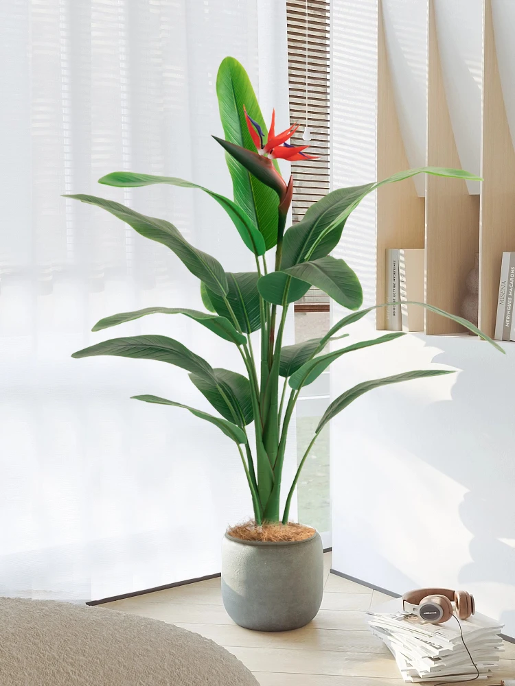 高級エレガンス インテリア用 飛行機の花 アートグリーン植物は部屋の空気を浄化するのか？
