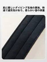 hipidog 大型犬用首輪【頑丈設計・金色・シンプル】