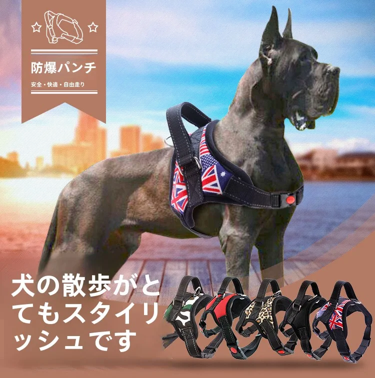 犬のお散歩グッズをコスパ良く揃える方法　完全ガイド