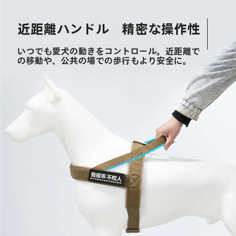 犬のお散歩グッズをコスパ良く揃える方法｜胸部リードで快適性と安全性を両立