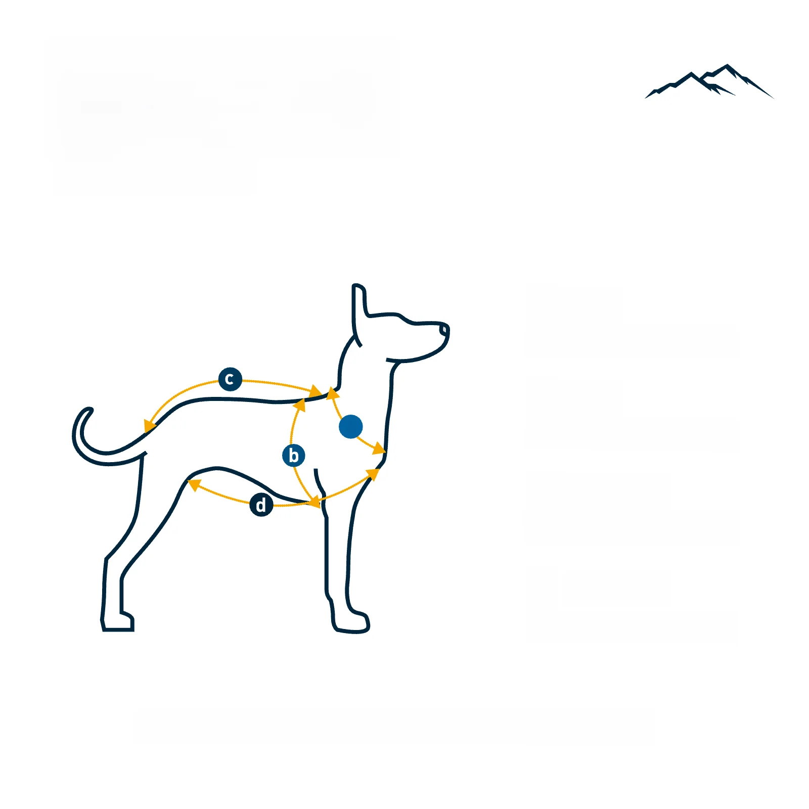 犬用ダウンジャケットを選ぶときに迷うのは、本当に何ですか？