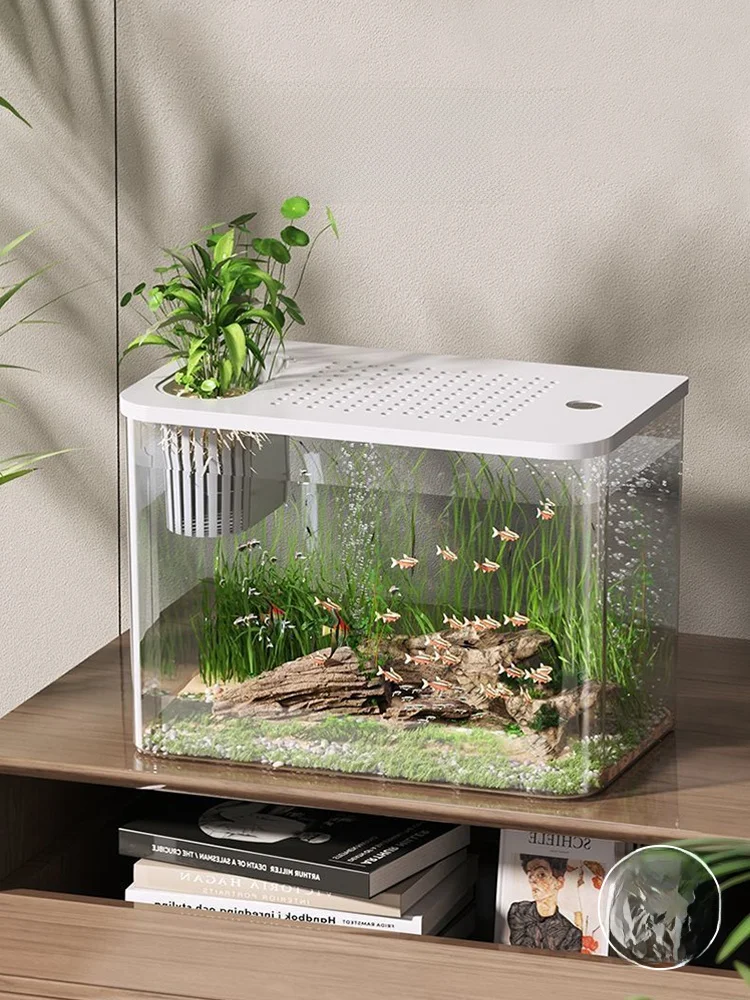 金魚水草セット：浮遊式小型水槽のエコデザインと負圧システムによる水質管理