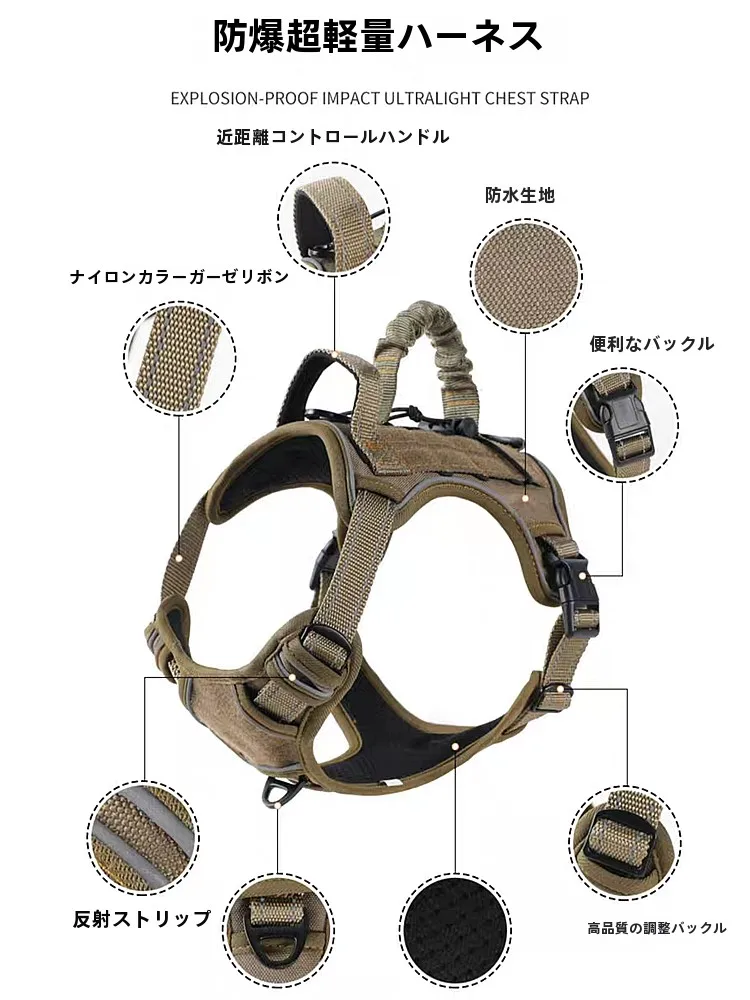 犬のお散歩グッズをコスパ良く揃える方法　タクティカルハーネスの安全設計が解決する本当の課題