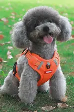犬用反射材付きハーネスリード【通気性・夏用・胸部装着タイプ】