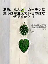 カーテン留め マグネット 強力 穴あけ不要 光漏れ防止 隙間対策 かわいい 家庭用 遮光カーテン 間仕切りカーテン ベッドカーテン 扉カーテン