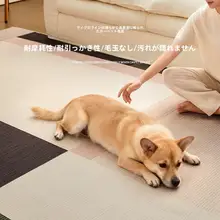 取り外し可能な洗えるラグ【レトロデザイン・高級感・防猫爪】