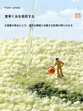 バスマット 吸水マット 玄関マット ラグ 速乾 滑り止め かわいい 家庭用 浴室 トイレ