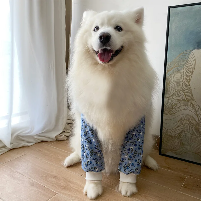 犬用関節保護膝当て：中型犬向けの夏季用関節サポートマット
