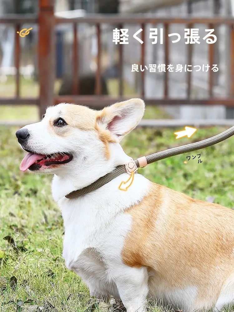 犬用リード【防爆設計・大中小型犬対応・脱走防止・金髪犬用カラー付き】の実用性と選び方